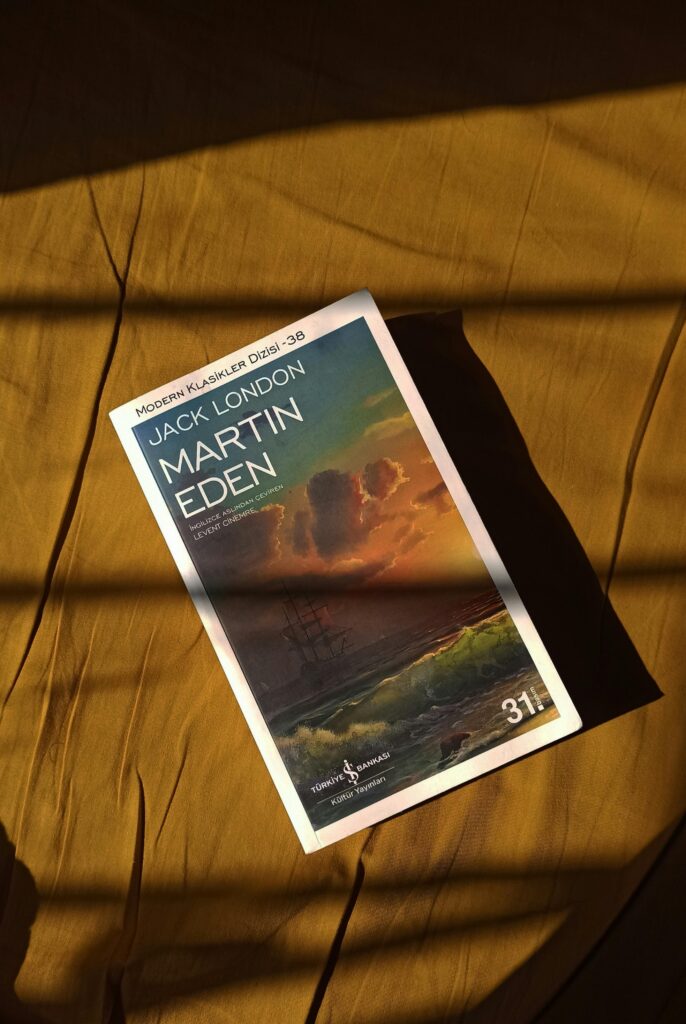 A classic novel, 'Martin Eden' by Jack London, in warm afternoon light.